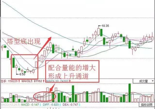 毒胆与双胆组合技巧解析，专家视角的3D预测研究